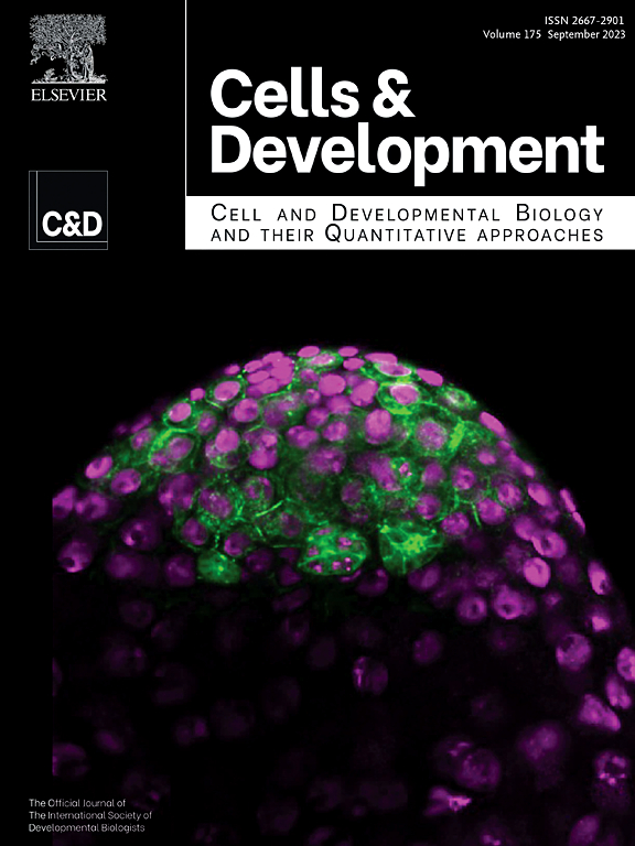 Go to journal home page - Cells & Development